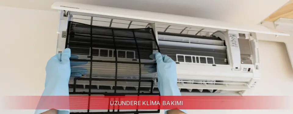 Uzundere İlçemi Regal Klima Bakımı